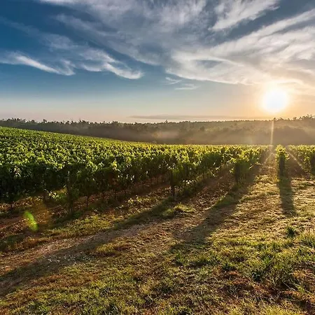 Neuf En Plein Coeur De La Bastide Libourne